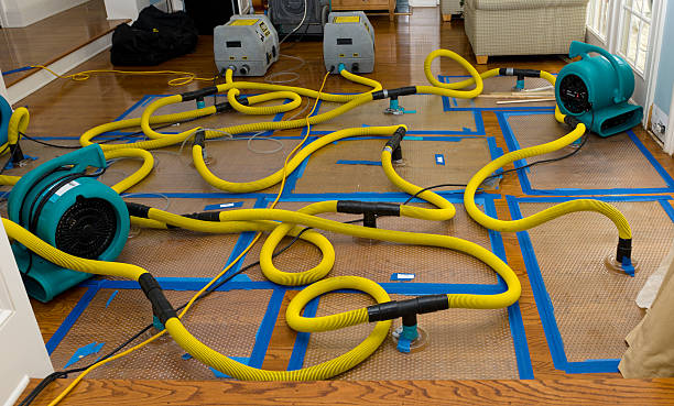 Professional Crawl Space Water Removal technician working in Weston, NE
